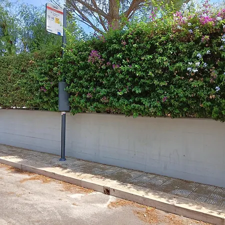 Gazde/Camere de închiriat Green54verde *